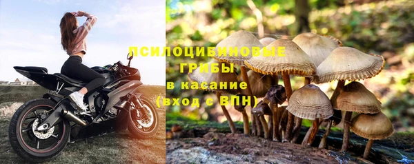 таблы Армянск
