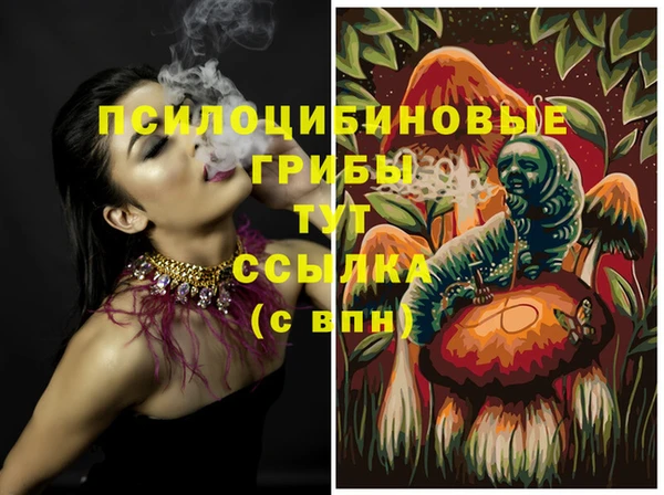 МДМА Арсеньев